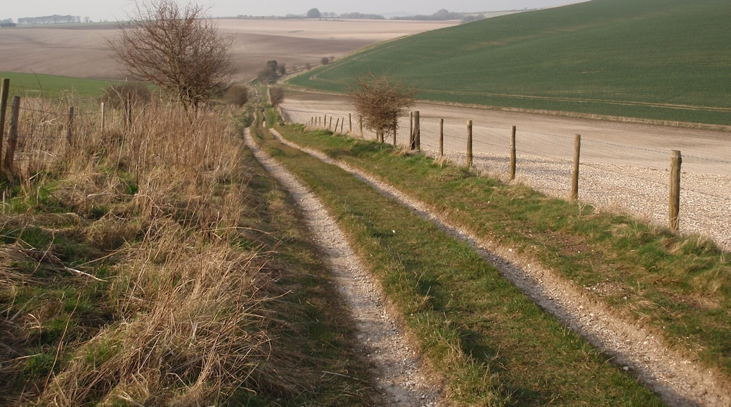 Green Lane near Easton, Salisbury Plain - Flowing Two Track
