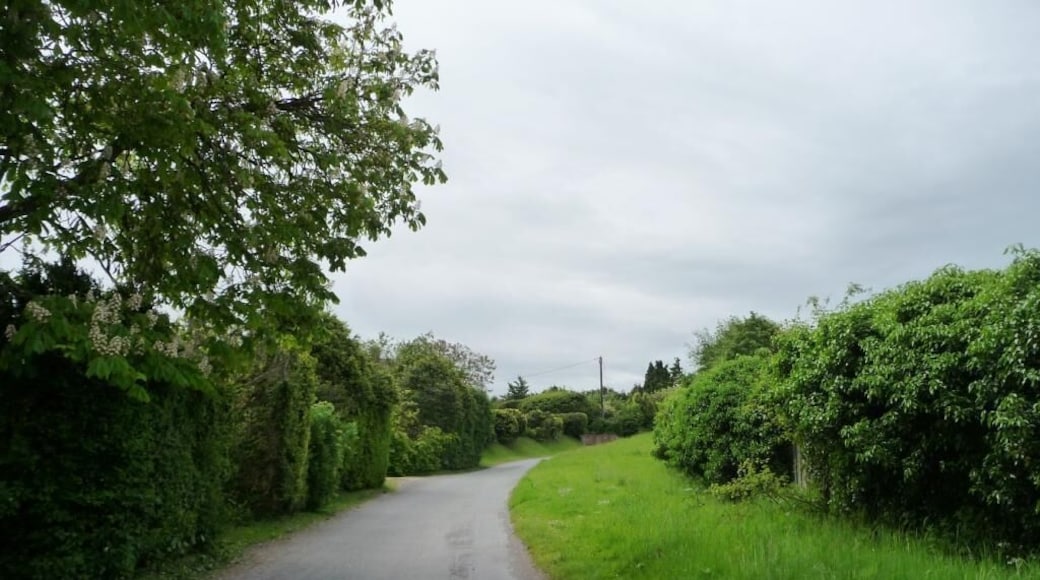 The road out of Charlton St Peter
