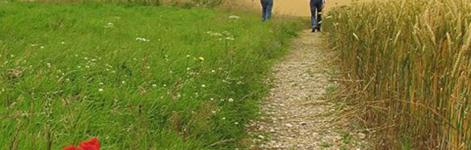 Footpath access to Pewsey White Horse The footpath just below the road, leading to the Pewsey White Horse.