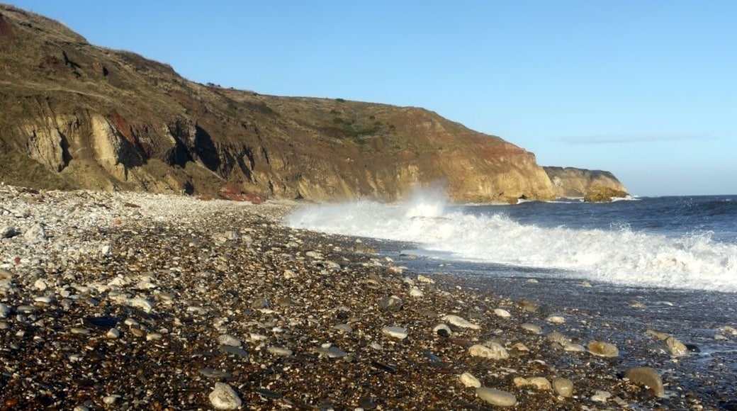 Beach east of Easington Colliery The large sea-battered rock can be seen off the near headland at Loom.