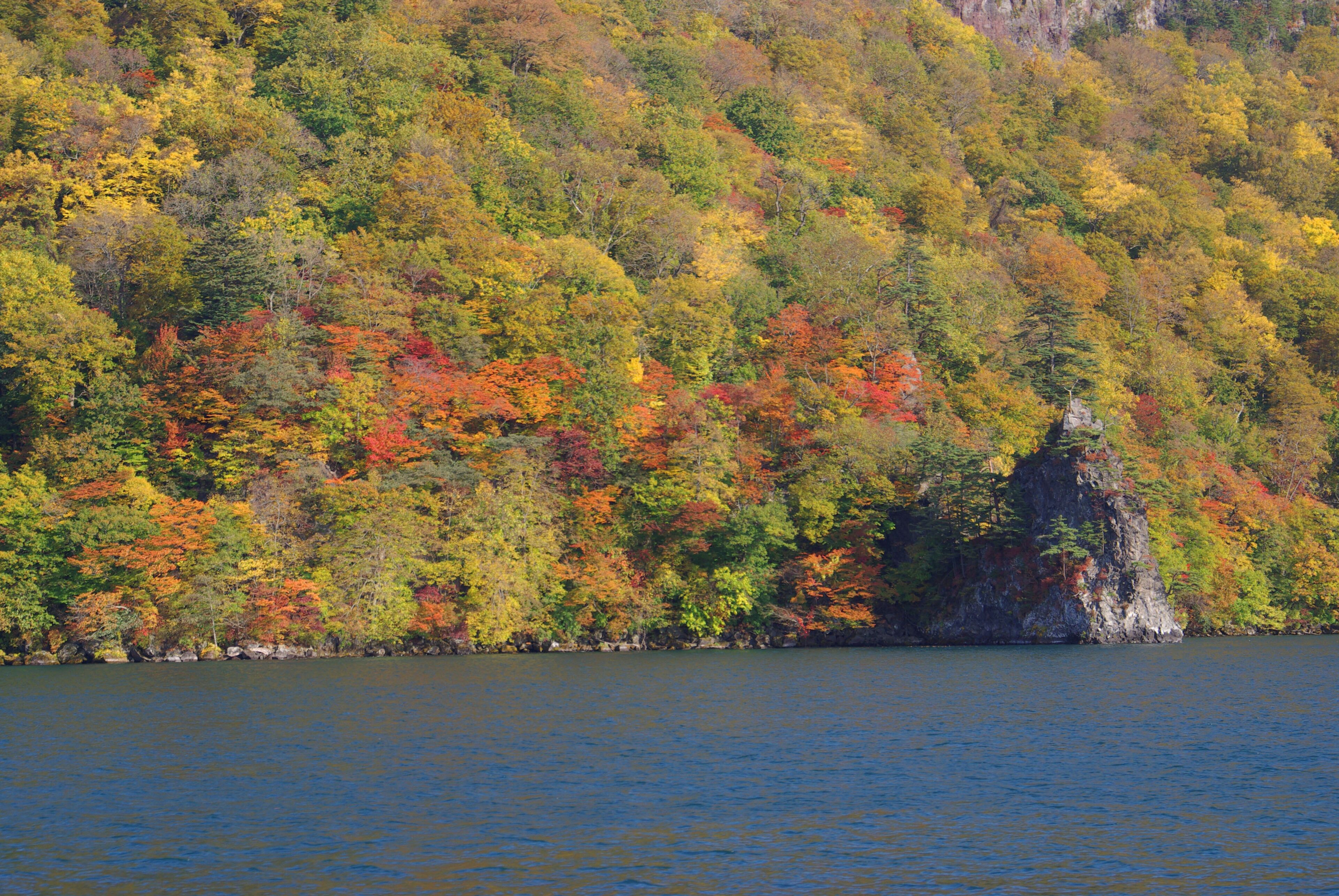 A lake surrounded by a forest with autumn foliage.