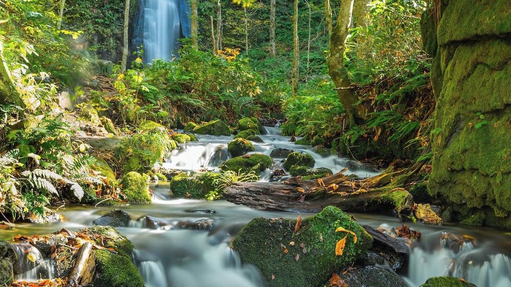 Halfway from the visitors center to Lake Towada sits this beautiful waterfall.