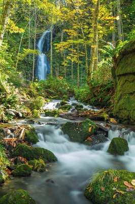 Halfway from the visitors center to Lake Towada sits this beautiful waterfall.
