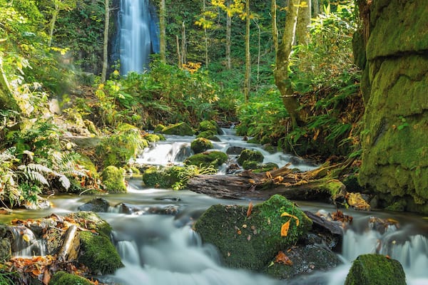 Halfway from the visitors center to Lake Towada sits this beautiful waterfall.