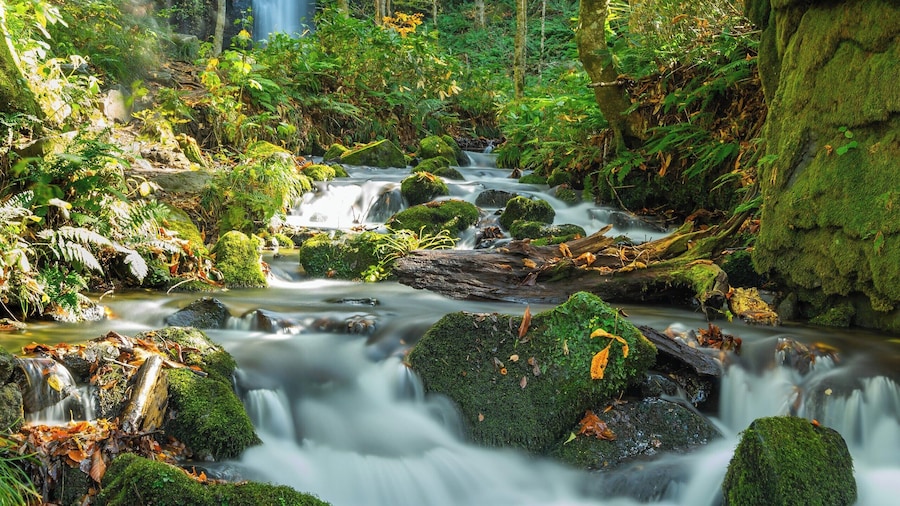 Halfway from the visitors center to Lake Towada sits this beautiful waterfall.