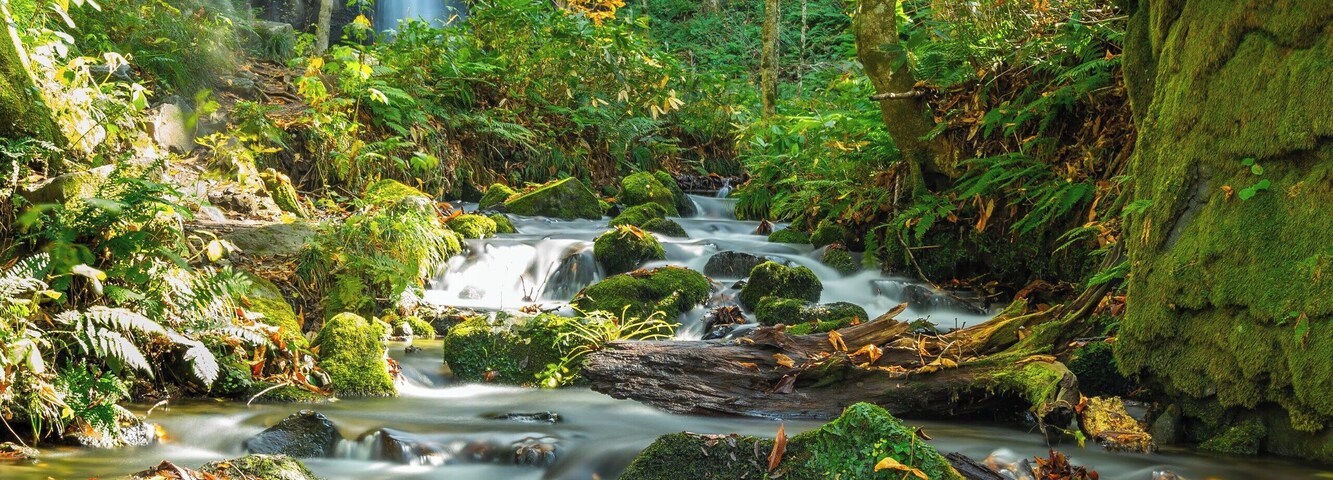 Halfway from the visitors center to Lake Towada sits this beautiful waterfall.