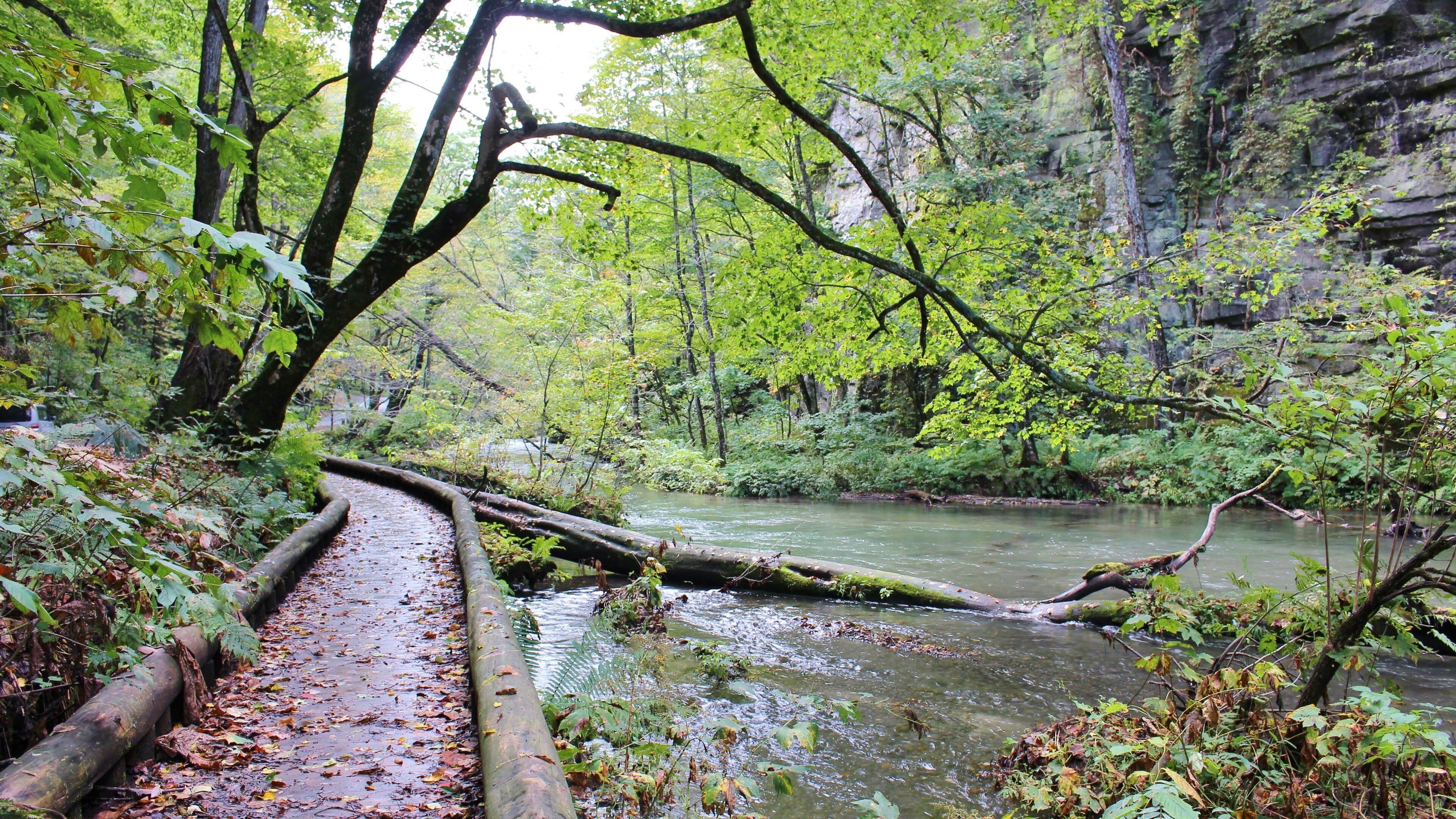 Zona boscosa con un puente de madera sobre un río, rodeada de árboles y acantilados rocosos.