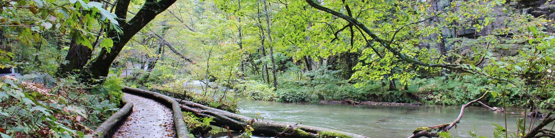 Zona boscosa con un puente de madera sobre un río, rodeada de árboles y acantilados rocosos.