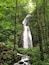 A waterfall in a dense forest.