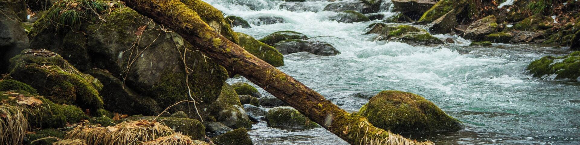 Great trails at Oirase Gorge. The visitors center is about 500m before Google Maps takes you to.