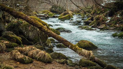 Great trails at Oirase Gorge. The visitors center is about 500m before Google Maps takes you to.
