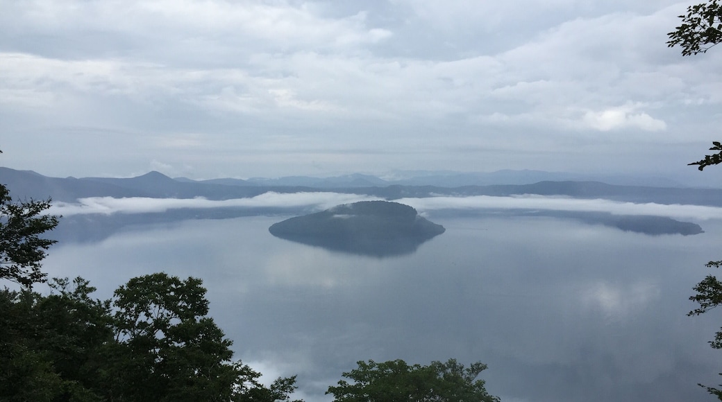 The morning after the rain.