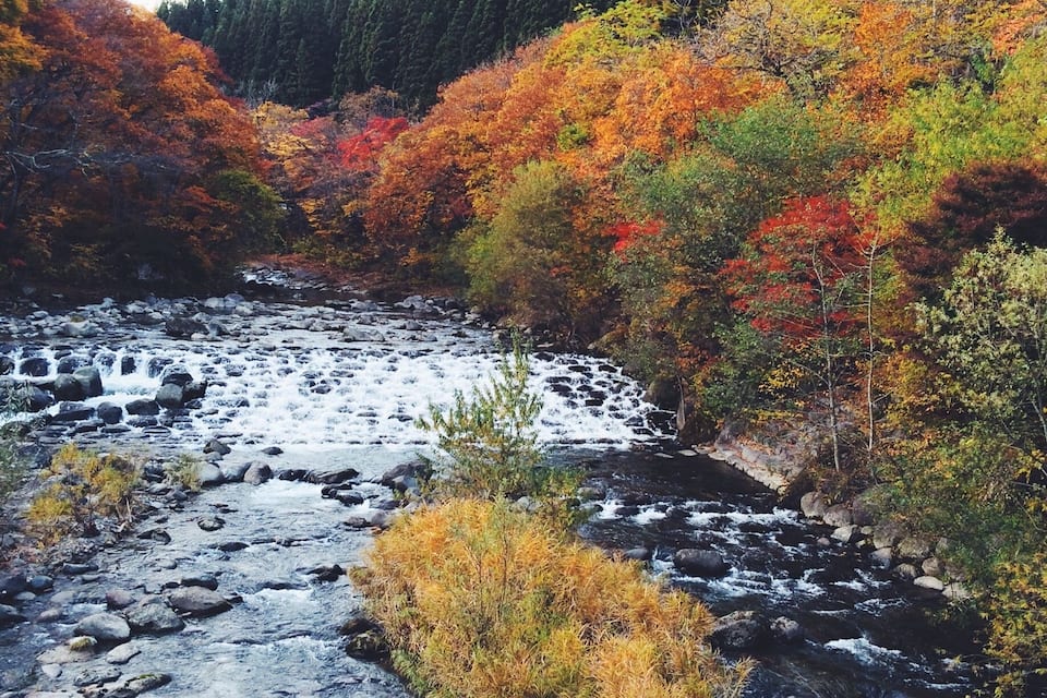 A river flowing through a forest with autumn-colored trees.