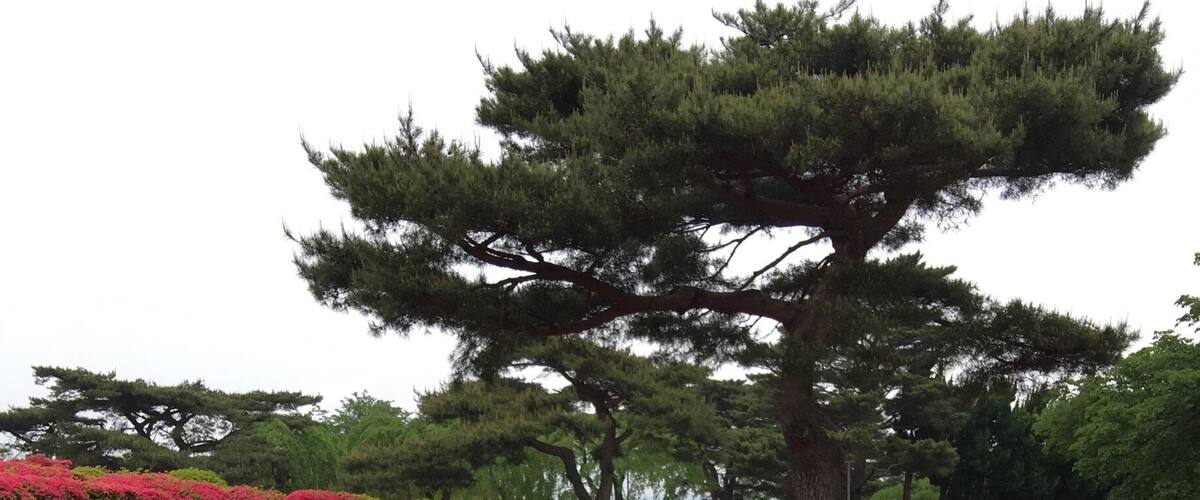 Red is beautiful in Izu Peninsula. Surprisingly close to Tokyo, just less than 2 hours from Shinagawa station.