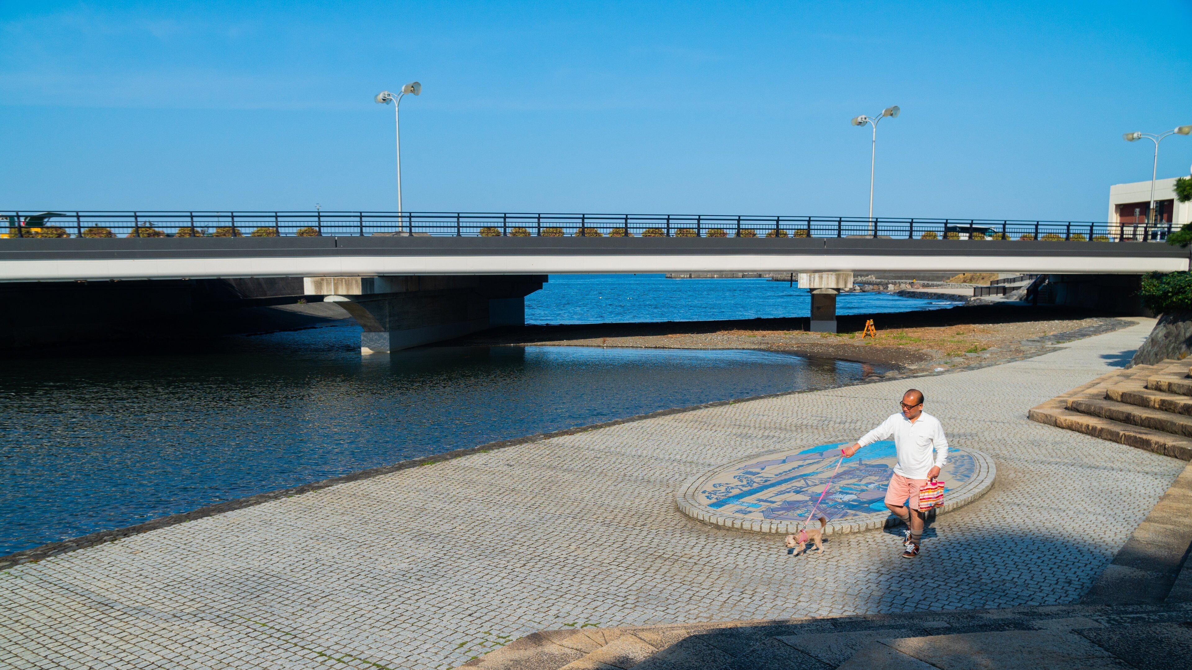 Ito featuring cuddly or friendly animals, general coastal views and a bridge