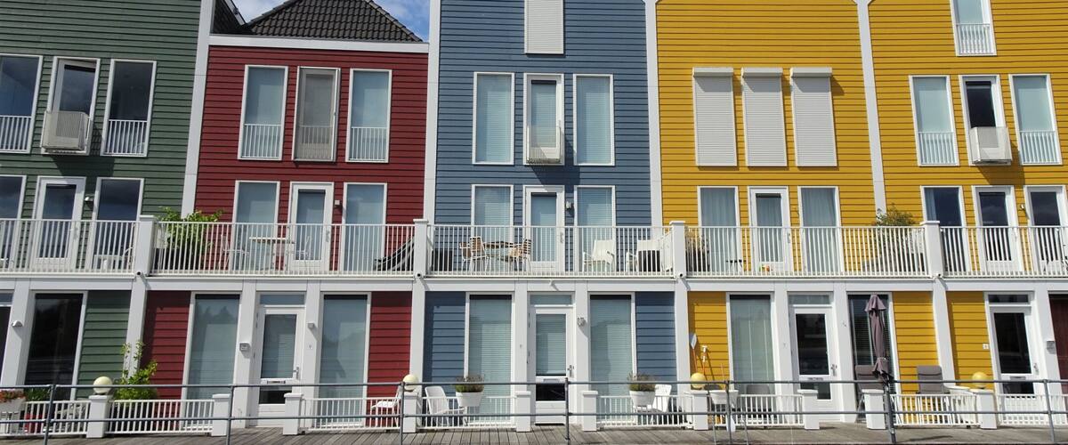 Caribbean atmosphere in the heart of the Netherlands.
Location: Rietplas recreation area.
#LocalSecrets #Trovember