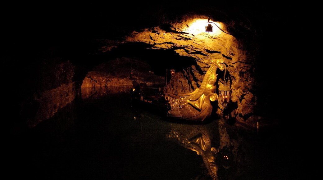 The history of Seegrotte outside Vienna, the largest underground lake in Europe, is really fascinating. At various times it was, among other things, a mine, a lake and an aircraft factory. Highly recommended!