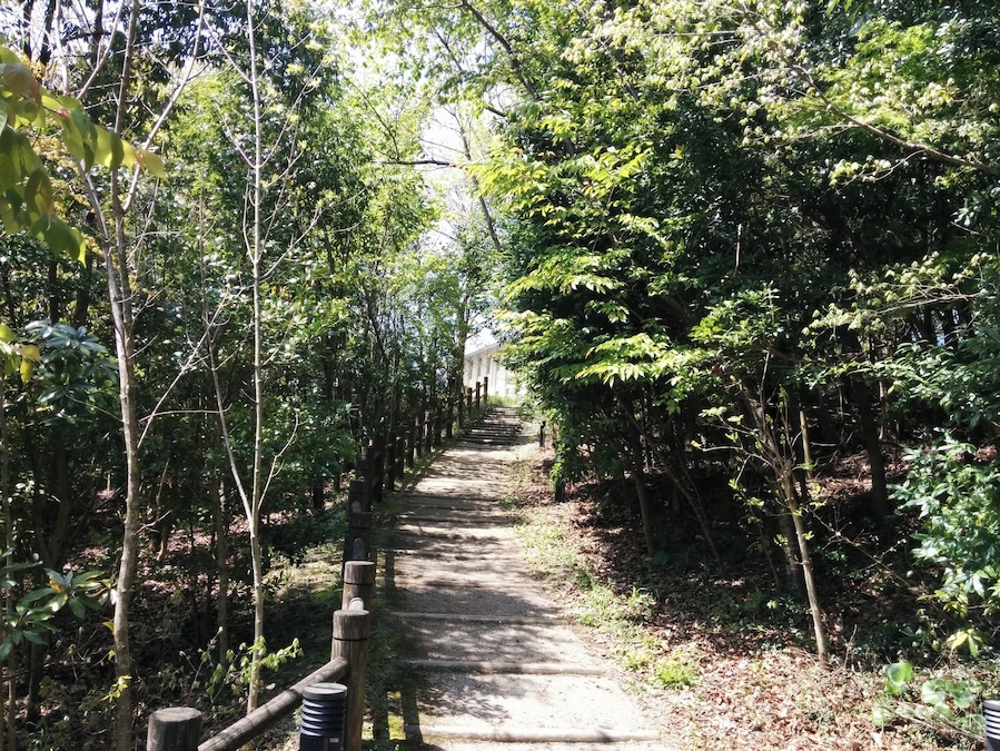 小道