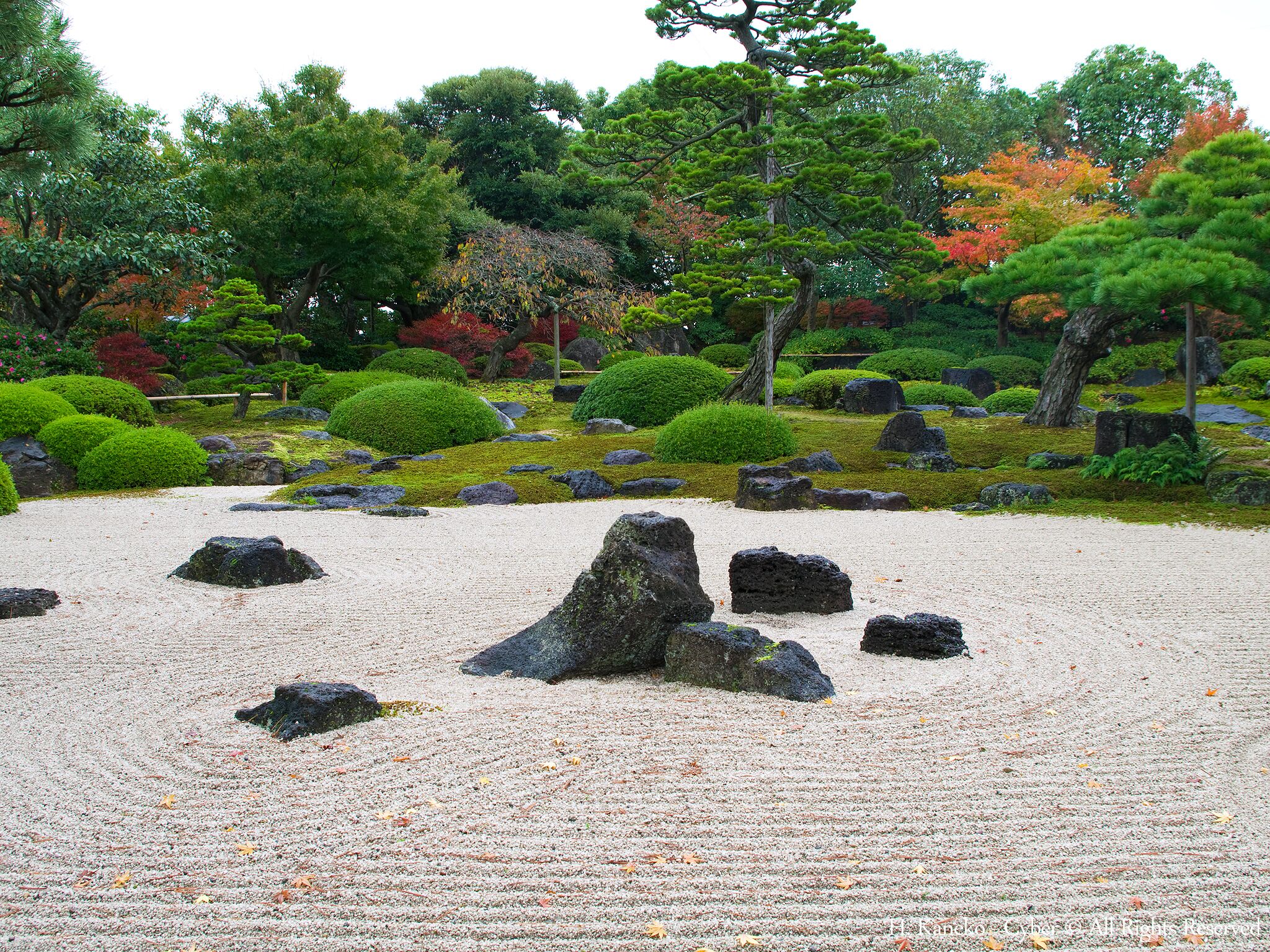 Um jardim japonês sereno com pedras dispostas com cuidado, vegetação exuberante e diversas árvores.