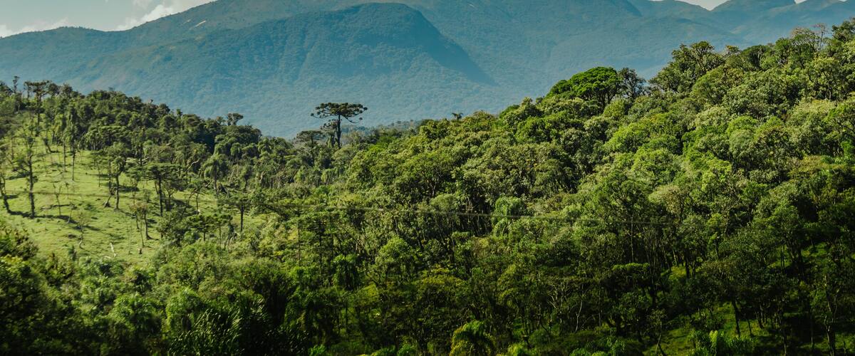 clouds over the mountains