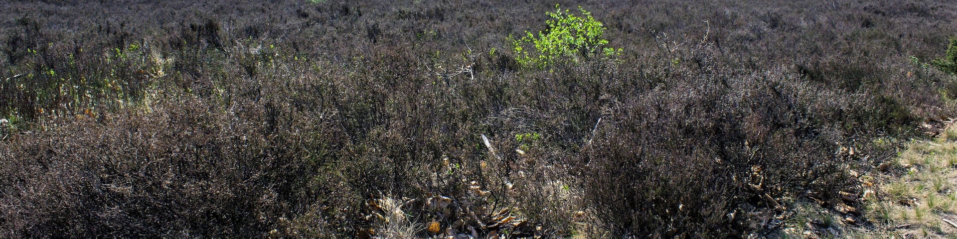 This is a picture of the protected area listed at WDPA under the ID