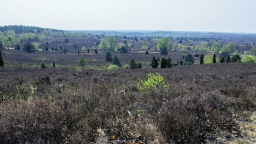 This is a picture of the protected area listed at WDPA under the ID