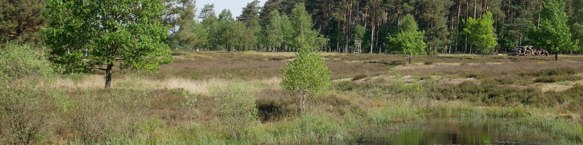 Gewässer an der Behringer Heide, Naturschutzgebiet Lüneburger Heide, Niedersachsen