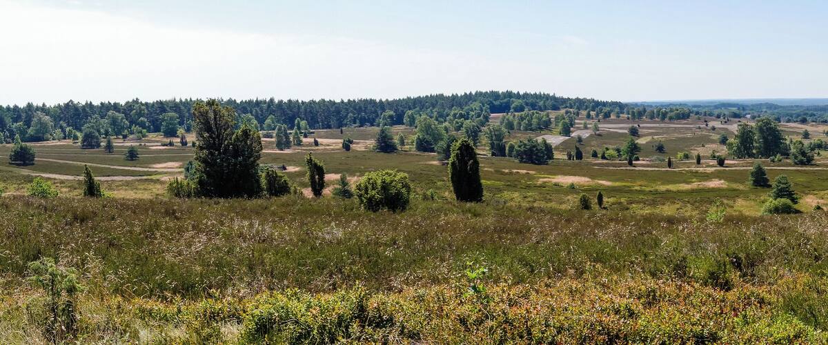Title: View from the Wilseder Berg on the LĂŒneburg Heath Type: Nature reserve, Natura 2000, National park Nature reserve number: LĂ 002 Natura 2000 number: 2725-301 Designation: Wilseder Berg (LĂŒneburg Heath) Location: North-east of Lower Saxony, within the LĂŒneburg Heath Nature Reserve Place: Wilsede and Bispingen, District Heidekreis, Lower Saxony, Federal Republic of Germany Description: At 169 m above sea level (NN), the Wilseder Berg is the highest point on the LĂŒneburg Heath in North Germany. It exists of the terminal moraine ridges of the Alpha-Stadium and points, compared to other areas of the North German plain, a strong relief energy on.