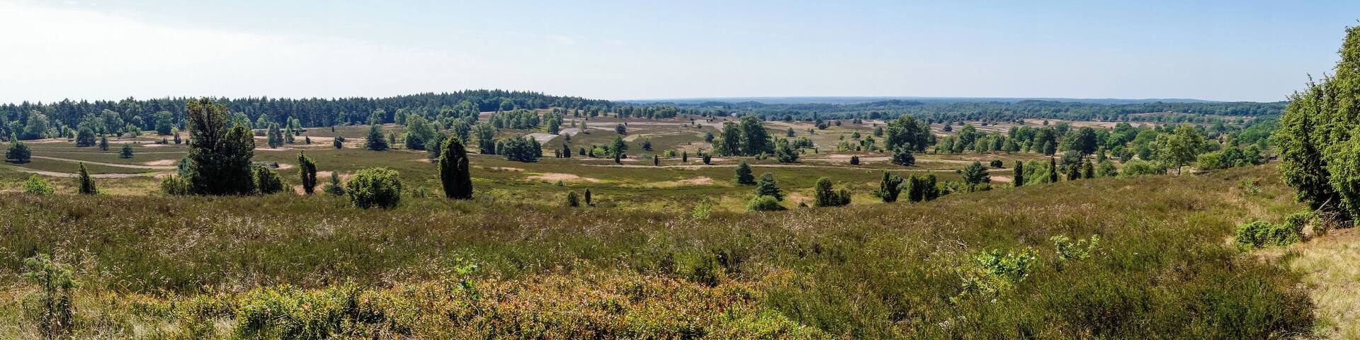 Title: View from the Wilseder Berg on the LĂŒneburg Heath Type: Nature reserve, Natura 2000, National park Nature reserve number: LĂ 002 Natura 2000 number: 2725-301 Designation: Wilseder Berg (LĂŒneburg Heath) Location: North-east of Lower Saxony, within the LĂŒneburg Heath Nature Reserve Place: Wilsede and Bispingen, District Heidekreis, Lower Saxony, Federal Republic of Germany Description: At 169 m above sea level (NN), the Wilseder Berg is the highest point on the LĂŒneburg Heath in North Germany. It exists of the terminal moraine ridges of the Alpha-Stadium and points, compared to other areas of the North German plain, a strong relief energy on.