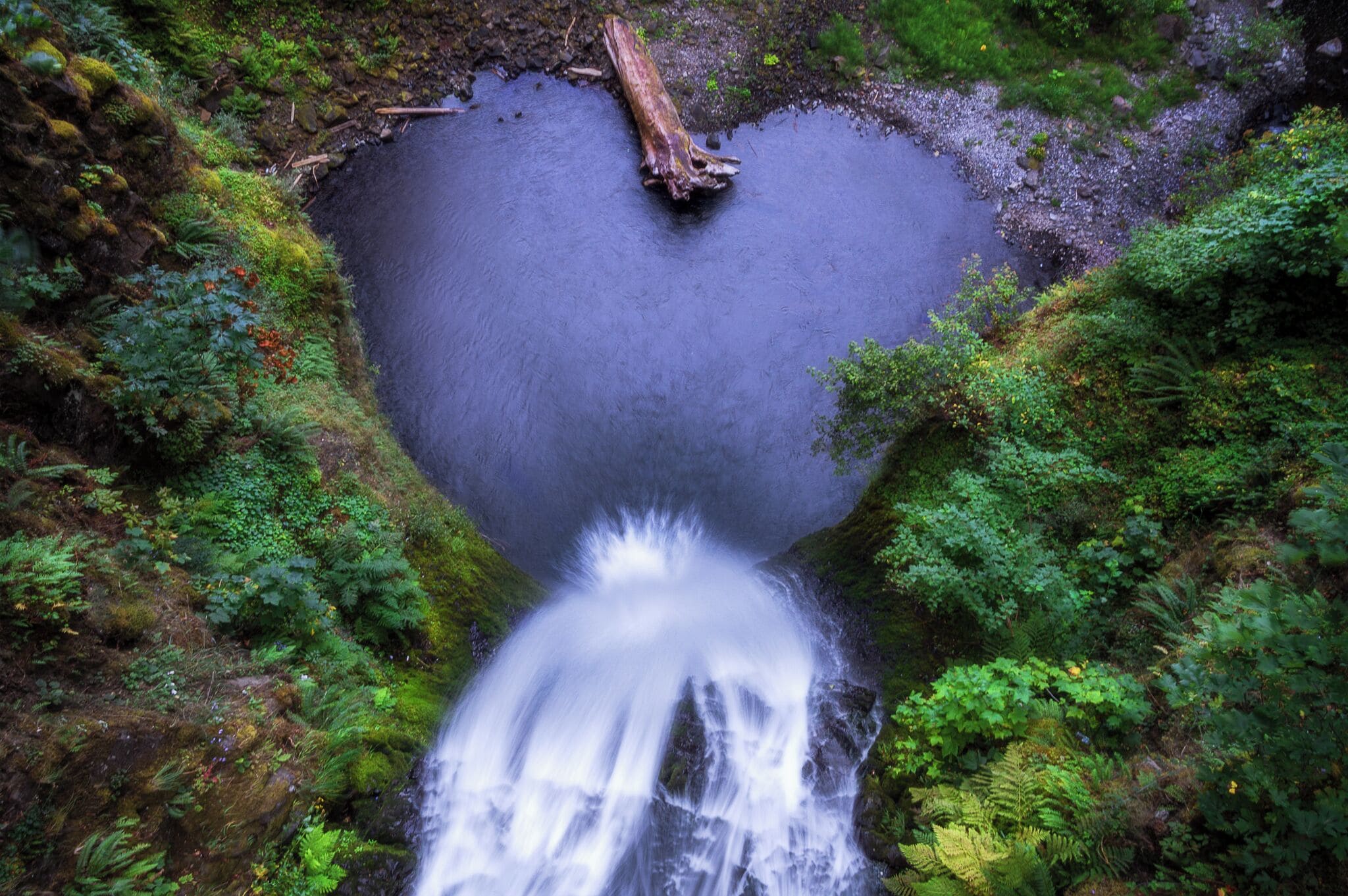 Fall in love with nature while exploring all the waterfalls and natural beauty of Oregon. 

#travel #oregon #waterfalls #hiking #adventure #colorful #landscape #endlesssummer #roadtrip 