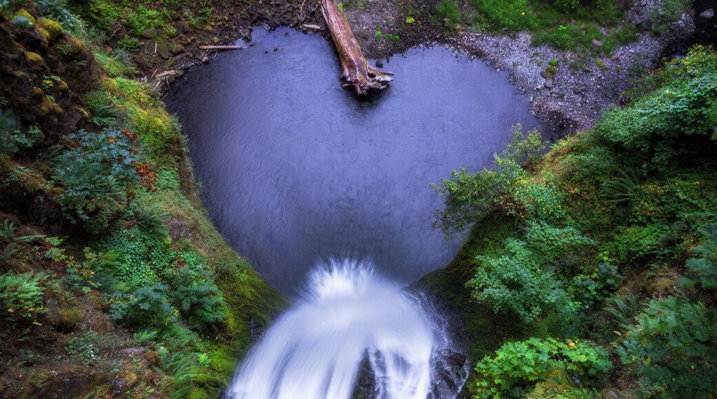 Fall in love with nature while exploring all the waterfalls and natural beauty of Oregon.
#travel #oregon #waterfalls #hiking #adventure #colorful #landscape #endlesssummer #roadtrip