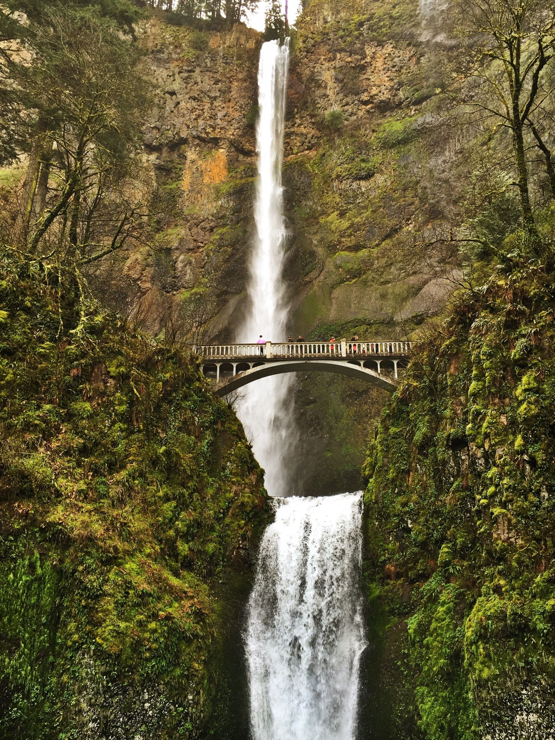 Multnomah Falls, Oregon has been on my list to visit for many years. The waterfall did not disappoint! This pic was taken April 2017. 