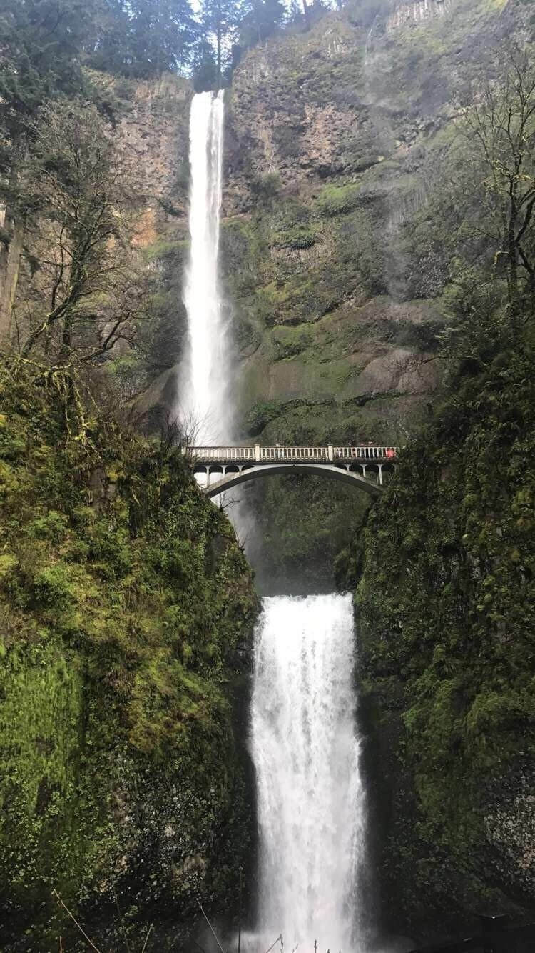 Multnomah Falls in Oregon 