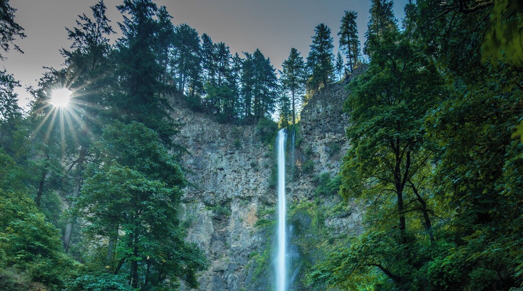Multnomah falls today on a great sunny day.
#green #waterfalls #oregon #BVSBlue #GreatOutdoors