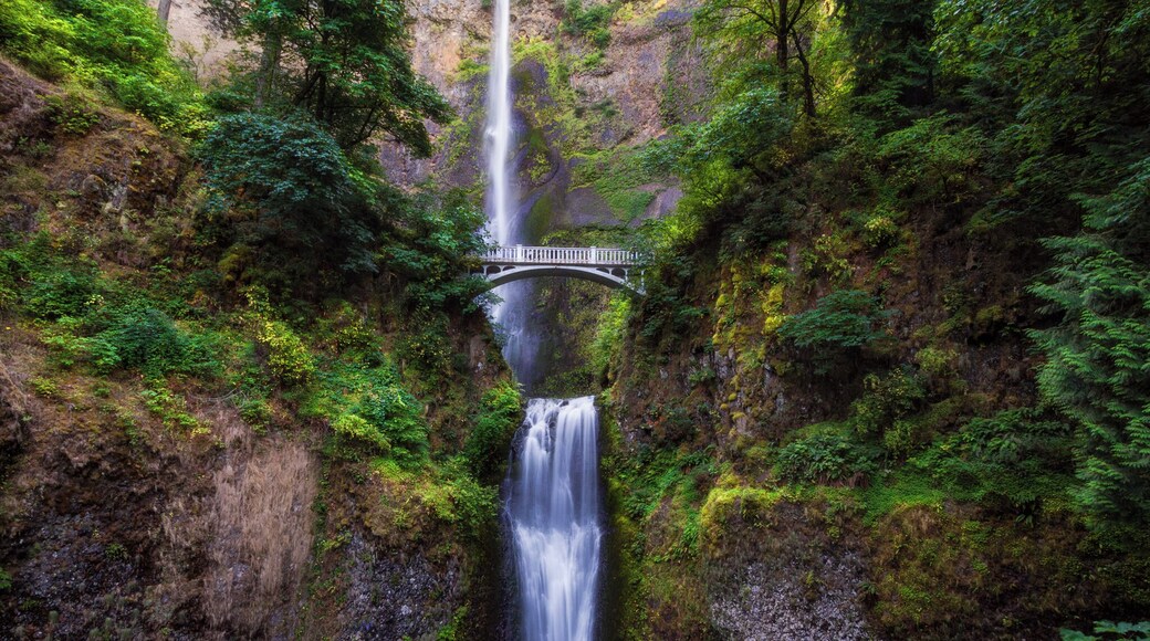 I feel pretty safe coining Oregon as the waterfall state. This is Multnomah Falls and at 620' it is the tallest in the state or Oregon.
#travel #hiking #adventure #colorful #roadtrip #waterfalls #nature