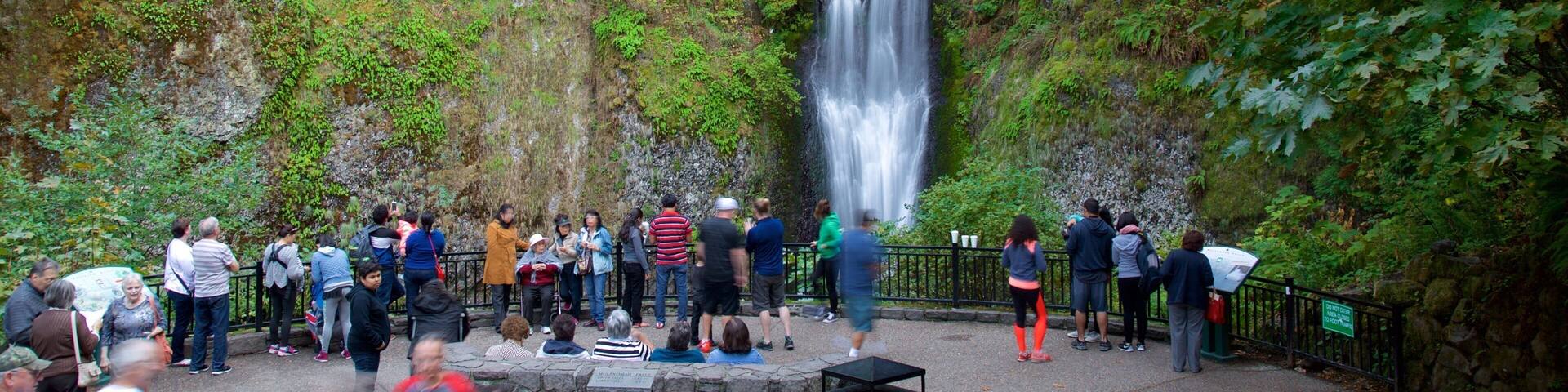 Multnomah Falls featuring a cascade and views as well as a large group of people