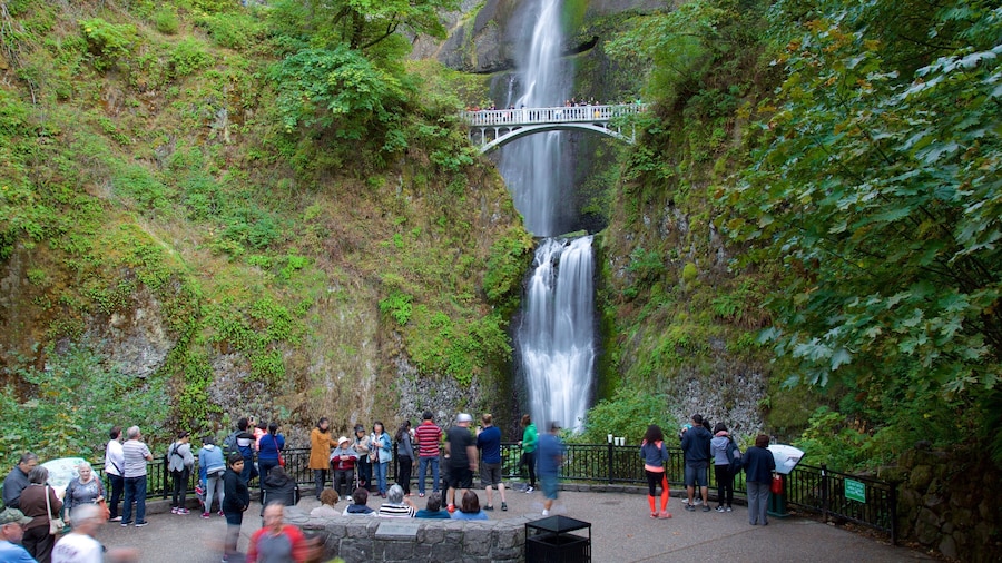 Multnomah Falls which includes views and a cascade as well as a large group of people