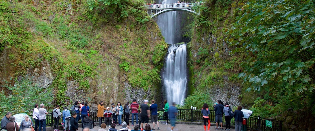 A waterfall with a viewing platform and people gathered around.