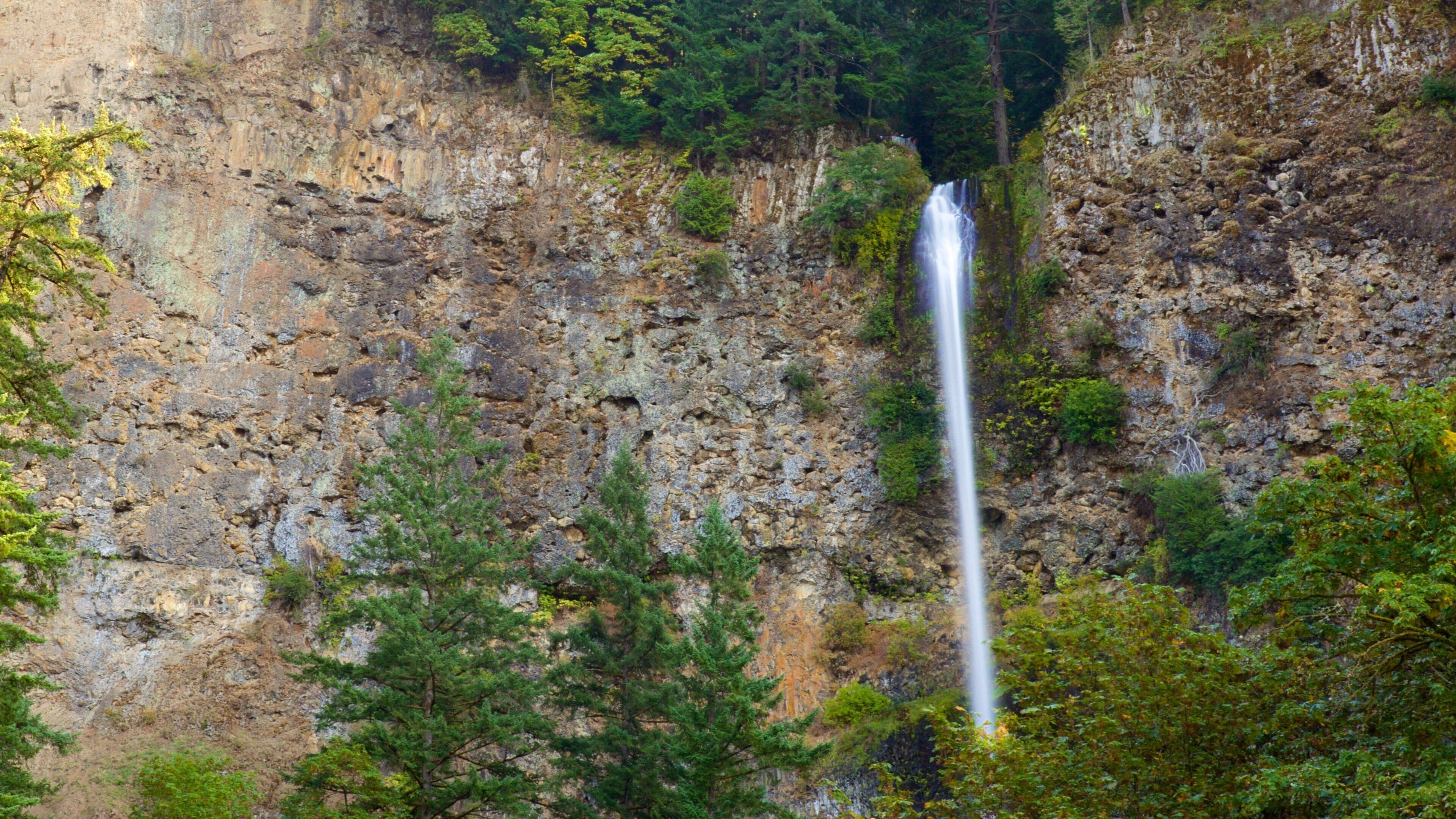 Multnomah Falls featuring a gorge or canyon and a cascade