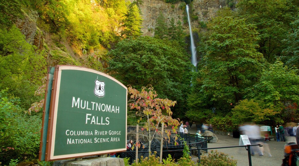 Cascadas de Multnomah ofreciendo señalización