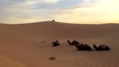 A desert landscape with sand dunes and camels.