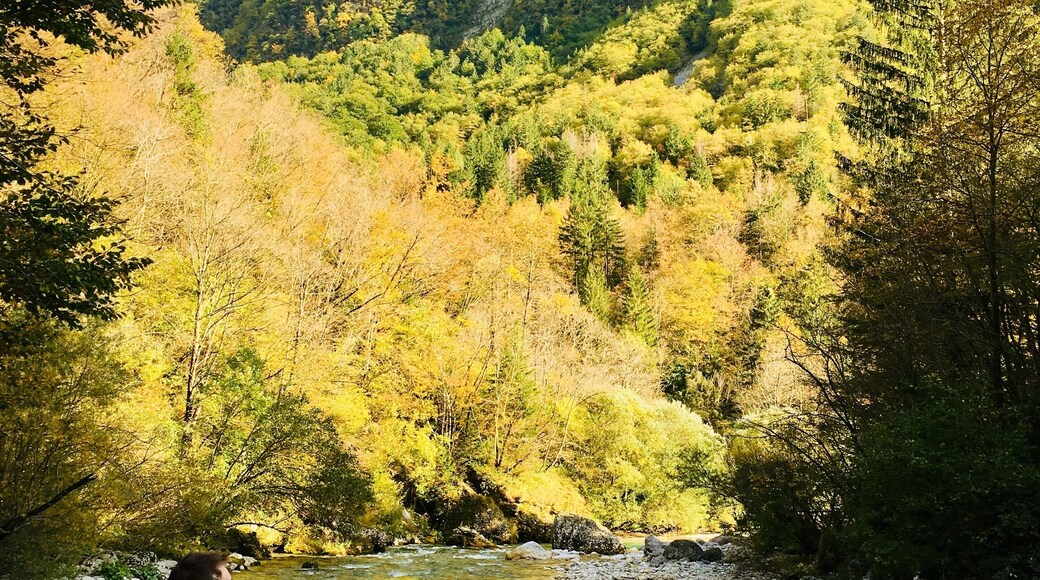 Bovec hiking trail, October colours