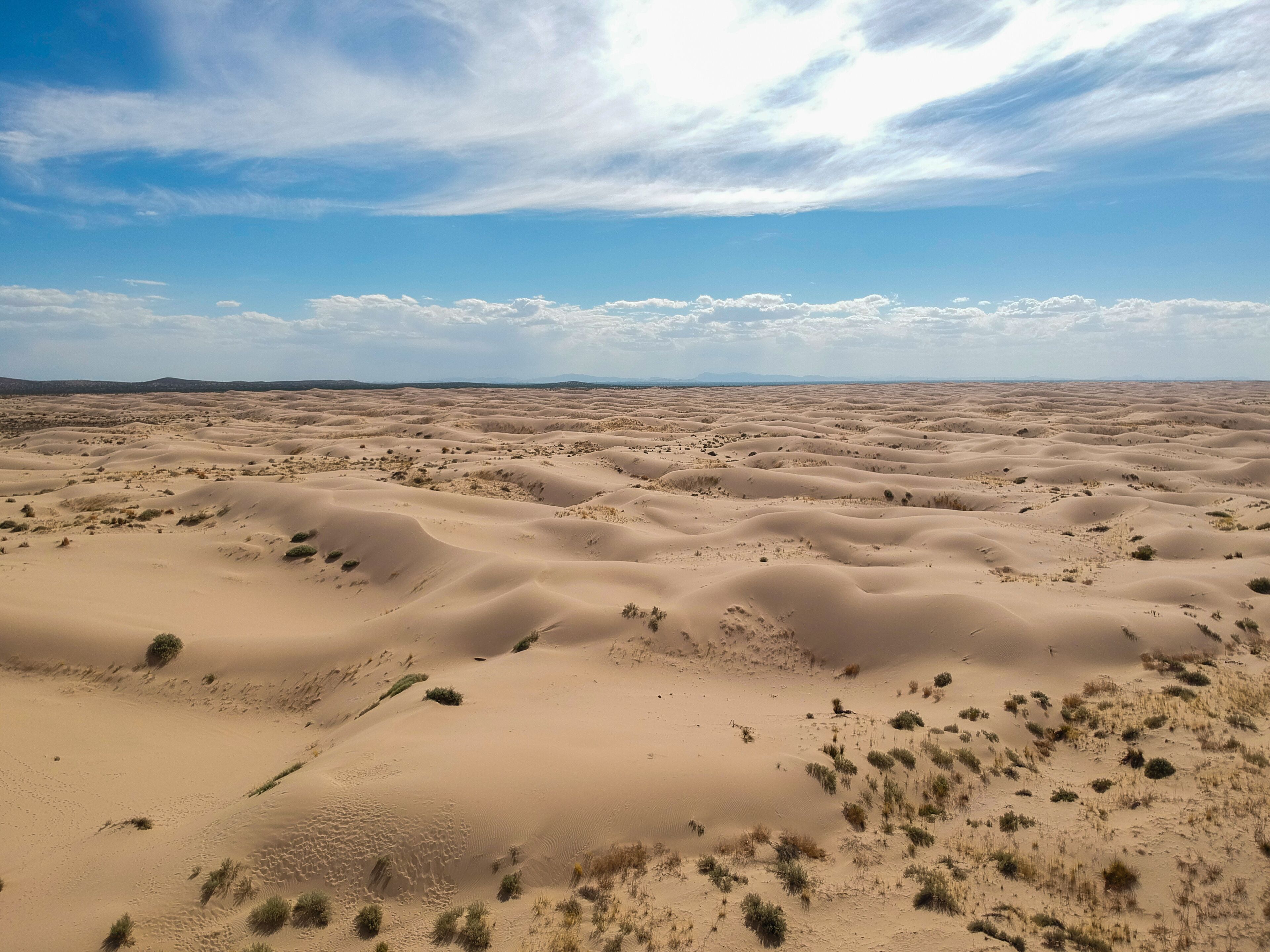 Dunas de Samalayuca Ciudad Juarez Chihuahua Mexico