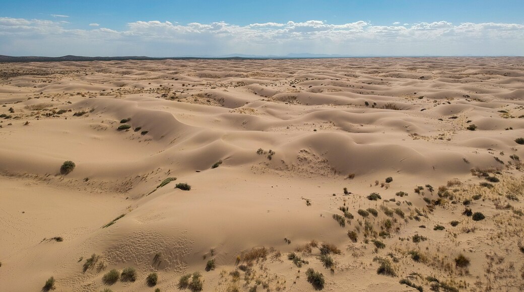 Dunas de Samalayuca Ciudad Juarez Chihuahua Mexico