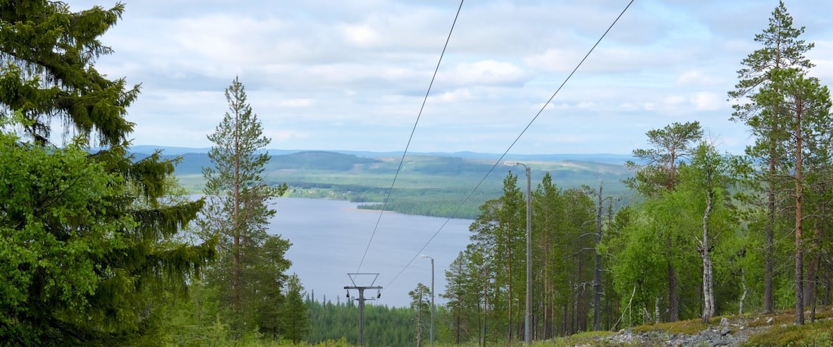 A lake surrounded by trees and power lines.