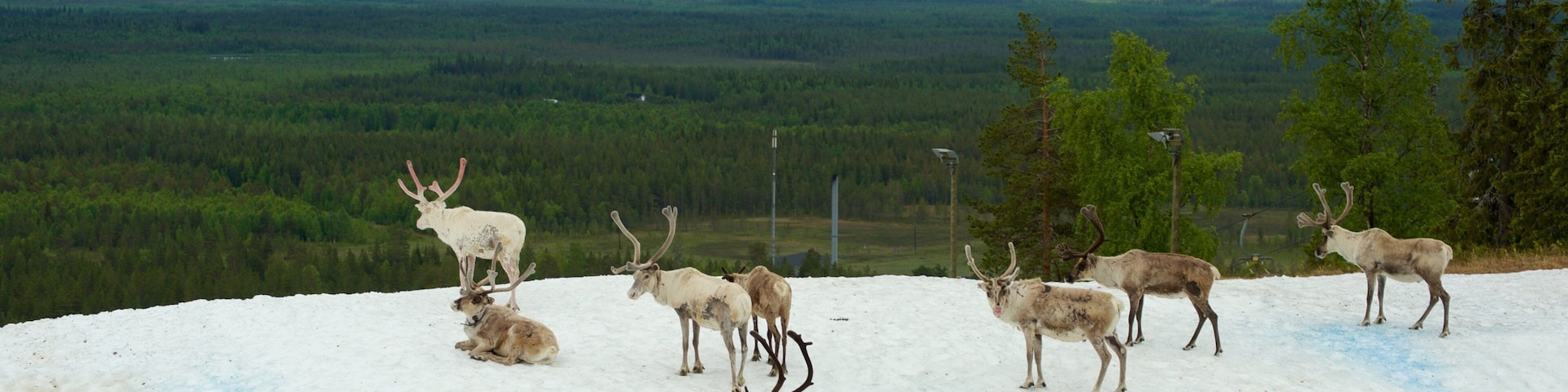 Pyhatunturi ofreciendo nieve, situaciones tranquilas y vistas panorámicas