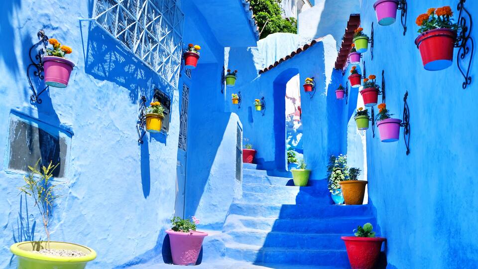 A narrow alleyway with blue walls, colorful hanging flower pots, and steps leading up to a building.