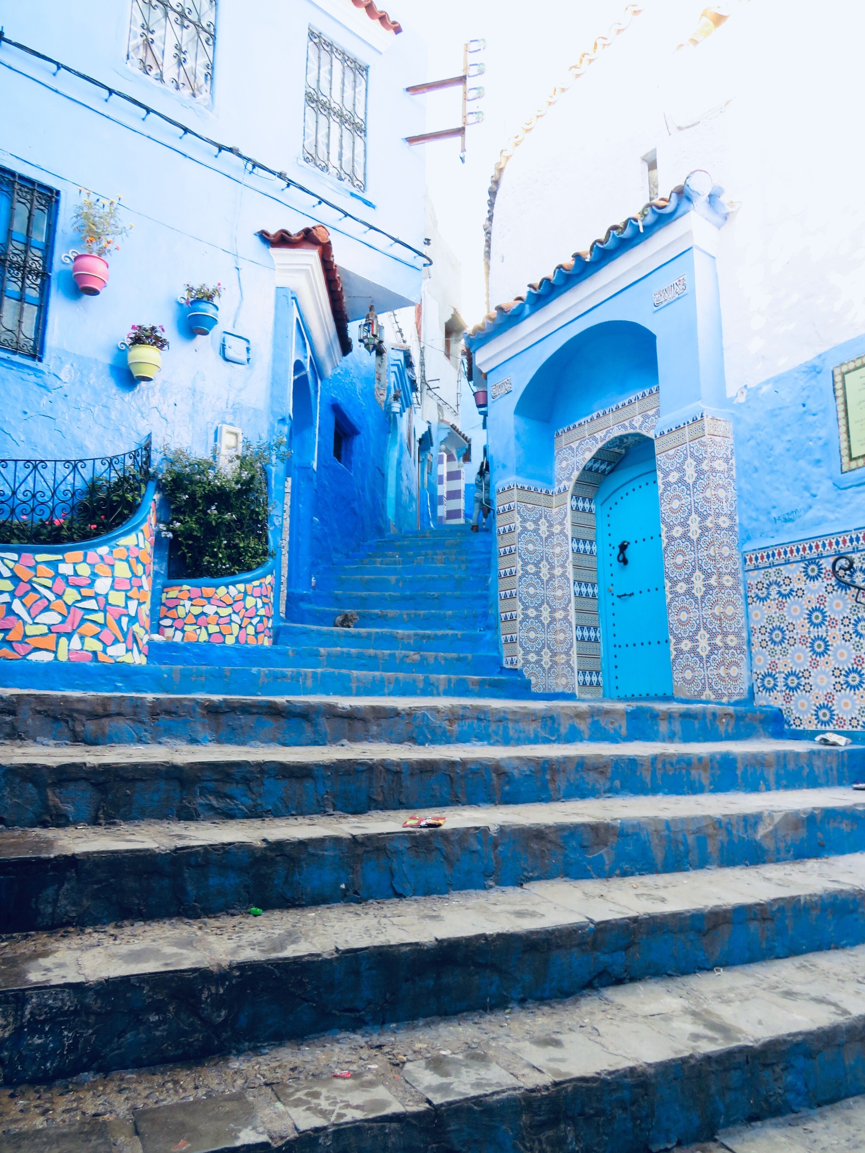 A quite neighborhood full of cats, all tainted in blue. A magical place also called "The Blue Pearl", in Morocco
#LifeAtExpediaGroup