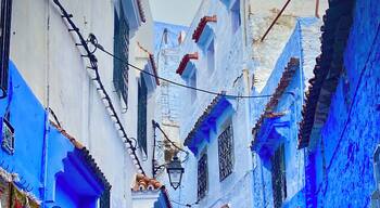 One of the hundreds of random blue streets in Chefchaouen. Truly a sight that must be seen in person