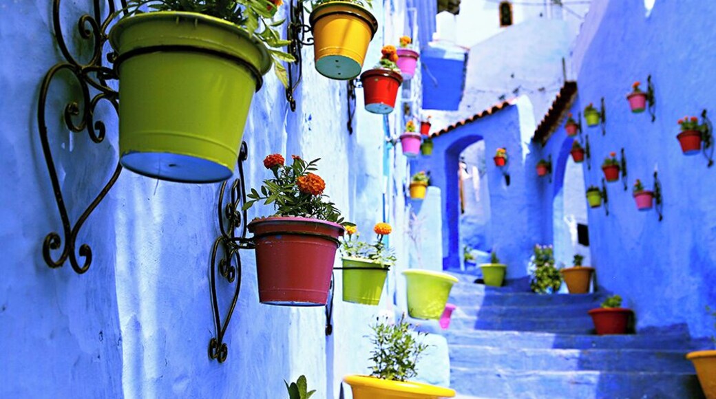 Chefchaouen - the blue washed city up in the RIf Mountains...One must spend at least 2 days in this tranquil mountain city that will literally take your breath away.
#colorful #blue